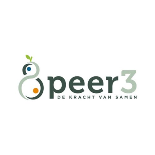 Peer 3